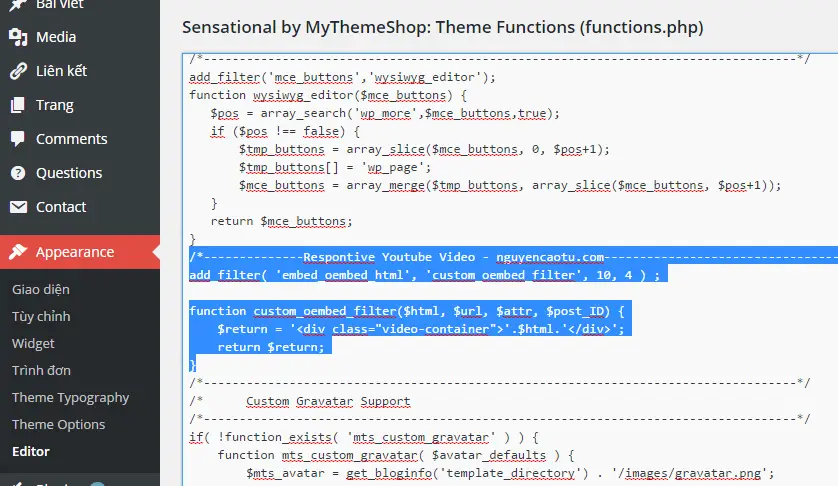 Respontive Video Youtube trên WordPress không dùng Plugin